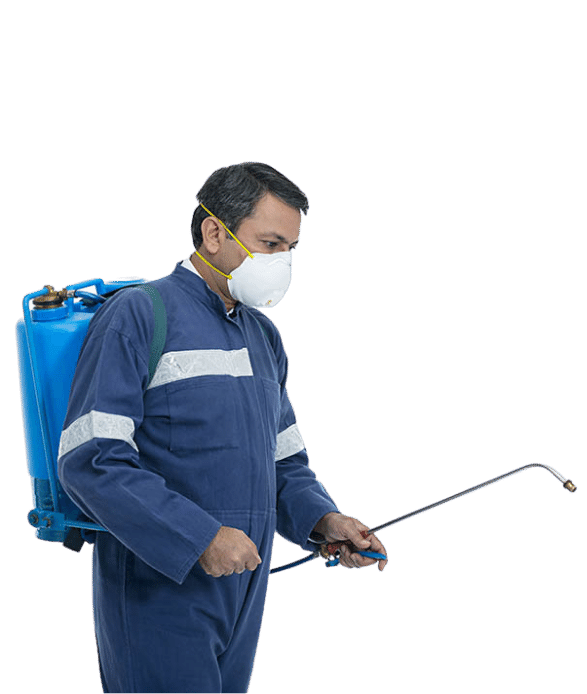 pest control service in byculla