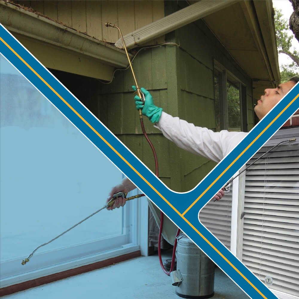 Pest Control Services In Malad by Poonam Cares